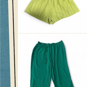 New York & Company Vibrant Green Pants and SHEIN cute shorts XXL
